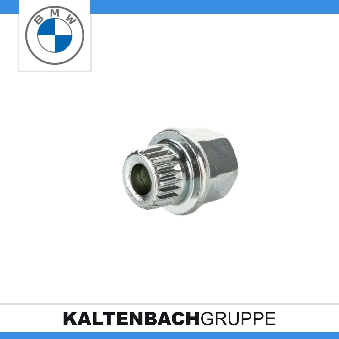 Felegennuss 36136765543.jpg